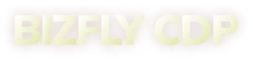 Bizfly CDP
